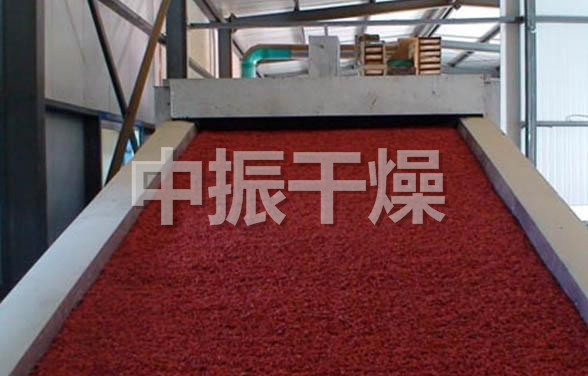 DWC系列脱水蔬菜带式干燥机